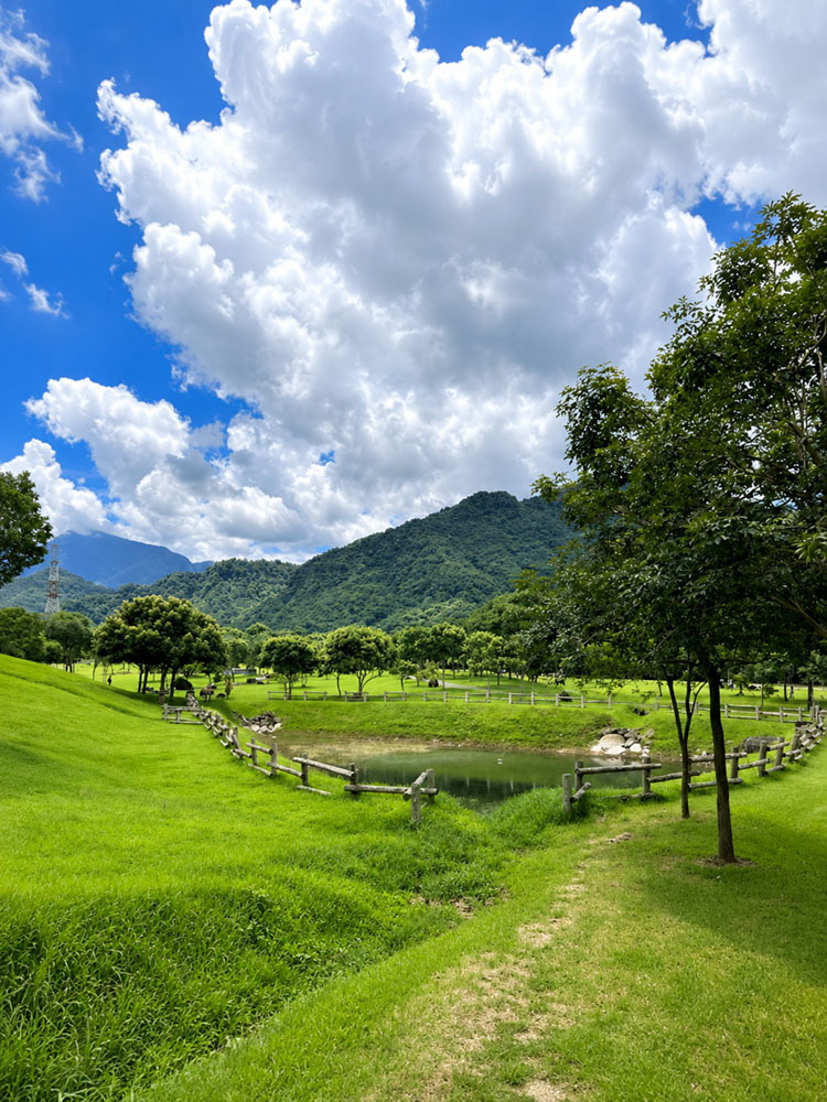 旺萊山大草原